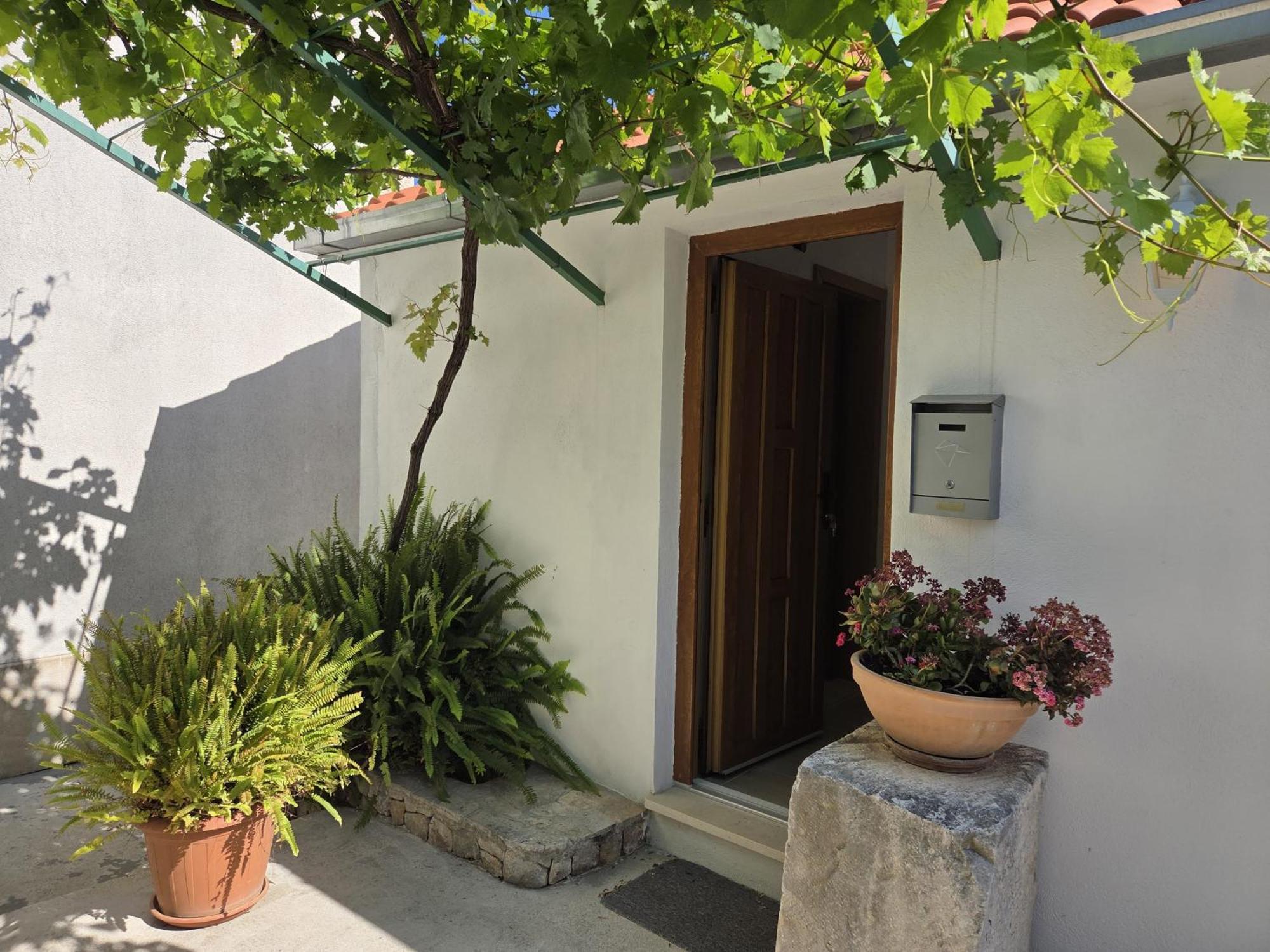 Apartments Jelena Supetar - Four Apartments - A Small House With A Private Yard - Two-Room Apartment With A Sea View - Studio Apartment - Two-Room Apartment With Garden View- Free Parking Exterior foto